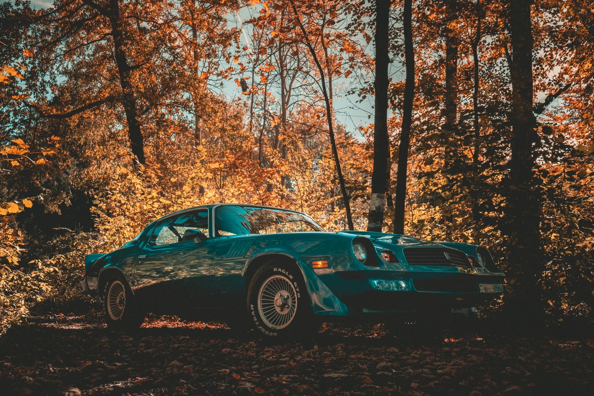 Chevrolet Camaro Z28 (1979) – fotografie 4